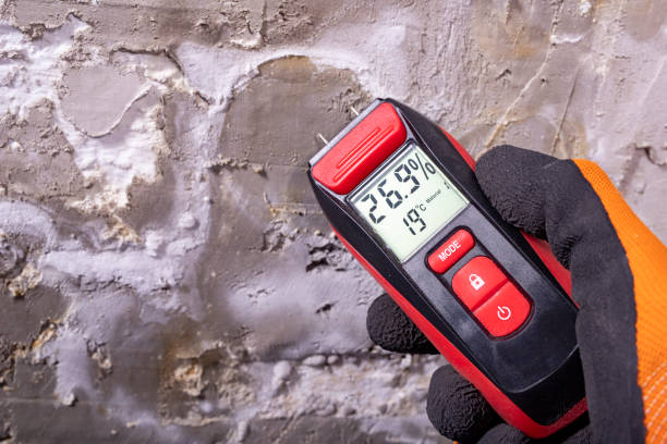 Best Mold Testing and Inspection Services in Gunter, TX