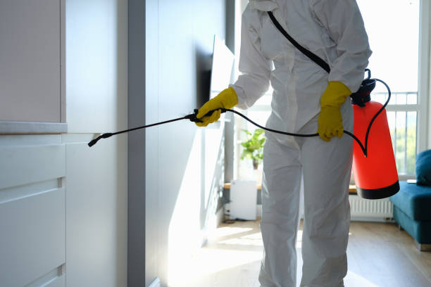 Best Commercial Mold Remediation in Gunter, TX